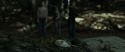 RdM1-Potterish6672.jpg