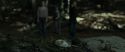 RdM1-Potterish6673.jpg
