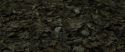 RdM1-Potterish6689.jpg