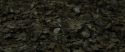 RdM1-Potterish6690.jpg