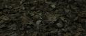 RdM1-Potterish6691.jpg