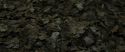 RdM1-Potterish6693.jpg