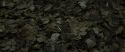 RdM1-Potterish6694.jpg