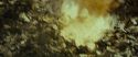 RdM1-Potterish6702.jpg