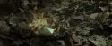 RdM1-Potterish6708.jpg