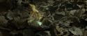 RdM1-Potterish6709.jpg