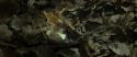 RdM1-Potterish6710.jpg