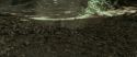RdM1-Potterish6714.jpg