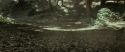 RdM1-Potterish6715.jpg