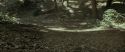 RdM1-Potterish6716.jpg