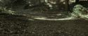 RdM1-Potterish6717.jpg