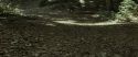 RdM1-Potterish6719.jpg