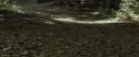 RdM1-Potterish6720.jpg