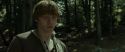 RdM1-Potterish6722.jpg