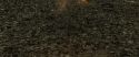 RdM1-Potterish6730.jpg