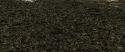 RdM1-Potterish6731.jpg