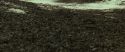 RdM1-Potterish6732.jpg