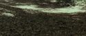 RdM1-Potterish6733.jpg