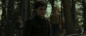 RdM1-Potterish6737.jpg