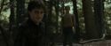 RdM1-Potterish6738.jpg