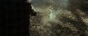 RdM1-Potterish6741.jpg