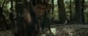 RdM1-Potterish6742.jpg