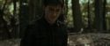 RdM1-Potterish6748.jpg