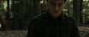 RdM1-Potterish6751.jpg