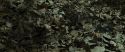 RdM1-Potterish6756.jpg