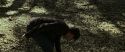 RdM1-Potterish6766.jpg