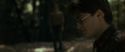 RdM1-Potterish6783.jpg