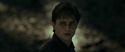 RdM1-Potterish6807.jpg