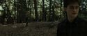 RdM1-Potterish6810.jpg