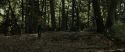 RdM1-Potterish6814.jpg