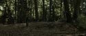 RdM1-Potterish6815.jpg