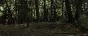 RdM1-Potterish6816.jpg