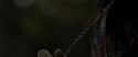 RdM1-Potterish6859.jpg