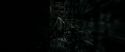 RdM1-Potterish6874.jpg