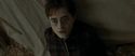RdM1-Potterish6904.jpg