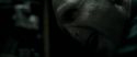 RdM1-Potterish6910.jpg