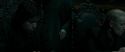 RdM1-Potterish698.jpg