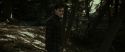 RdM1-Potterish7043.jpg