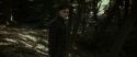 RdM1-Potterish7044.jpg