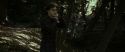 RdM1-Potterish7050.jpg