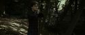RdM1-Potterish7051.jpg