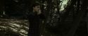 RdM1-Potterish7052.jpg