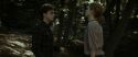 RdM1-Potterish7065.jpg