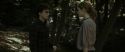 RdM1-Potterish7068.jpg