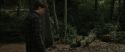 RdM1-Potterish7086.jpg