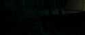 RdM1-Potterish7096.jpg